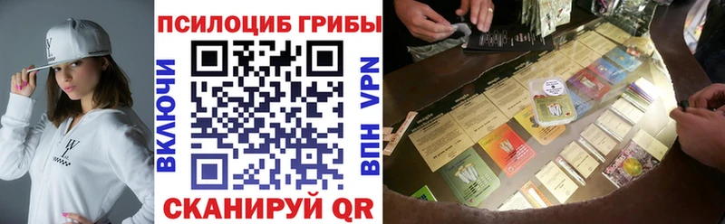 Псилоцибиновые грибы Cubensis  Николаевск-на-Амуре 